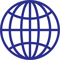 Professional Expertise